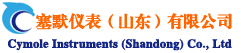 塞默仪表（山东）